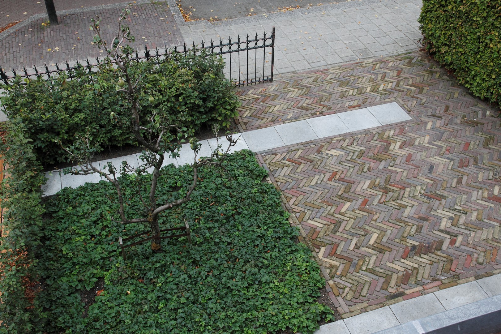 voortuin